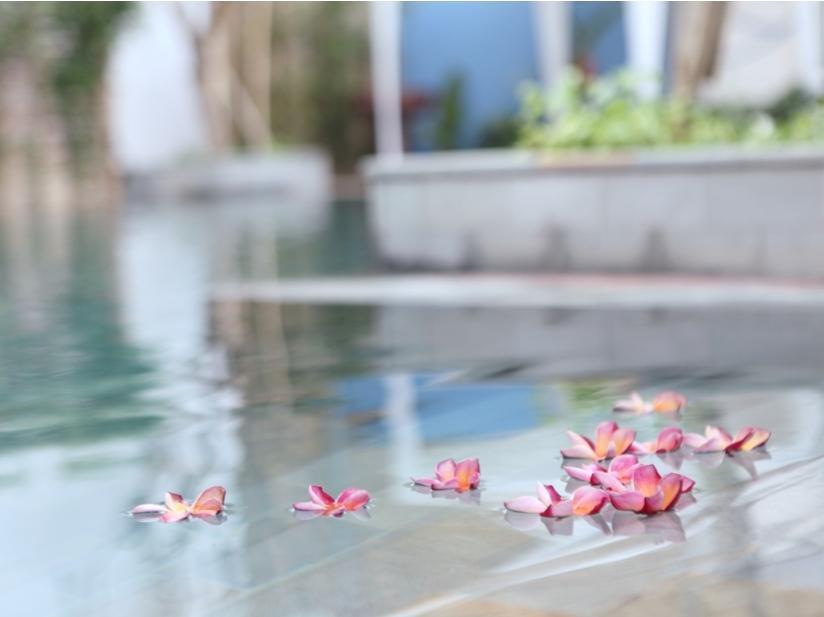 The Frangipani Living Arts Hotel And Spa Phnom Penh Eksteriør billede